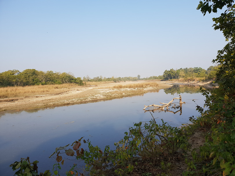 A beautiful view of a river and grass while waiting to spot wildlife  
